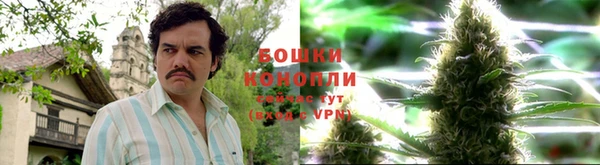 индика Красноперекопск