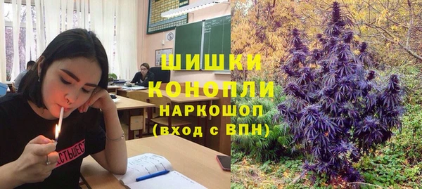 крисы Краснослободск