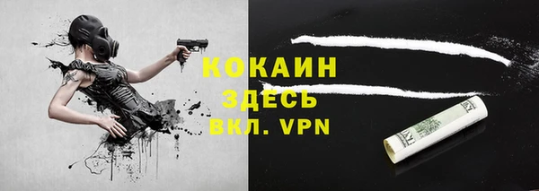 индика Красноперекопск