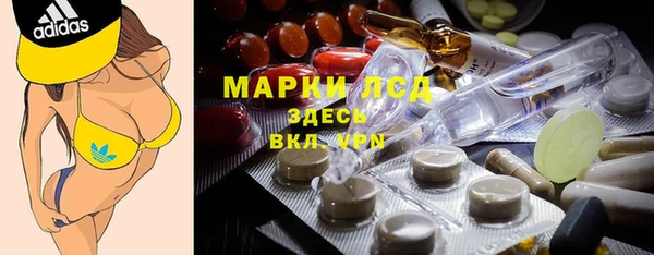крисы Краснослободск